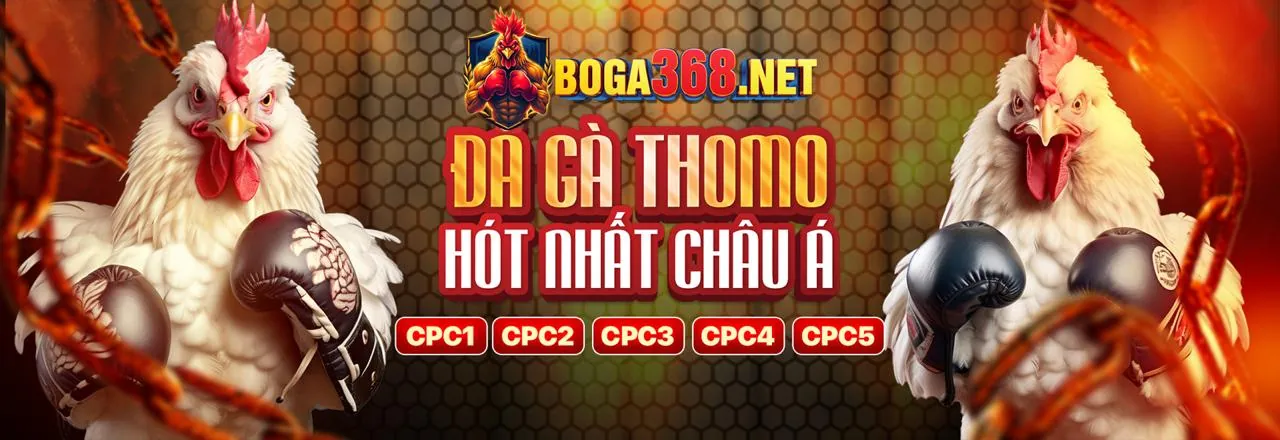 Sân vận động với ánh đèn rực rỡ, biểu tượng cho cá cược thể thao sôi động tại Hi8 Link Vào